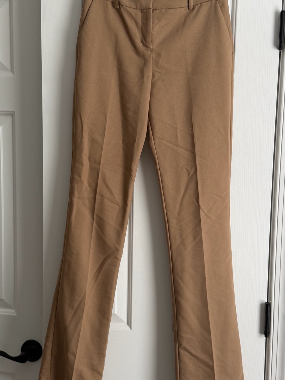 Express Columnist Tan Dress Pants